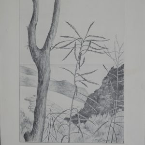 Karekare 1982