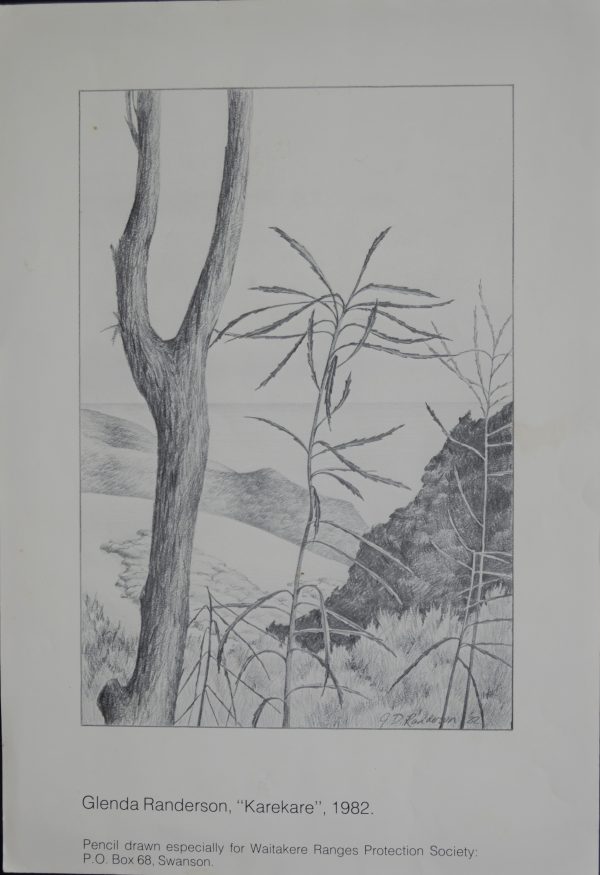 Karekare 1982